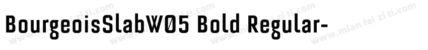 BourgeoisSlabW05 Bold Regular字体转换